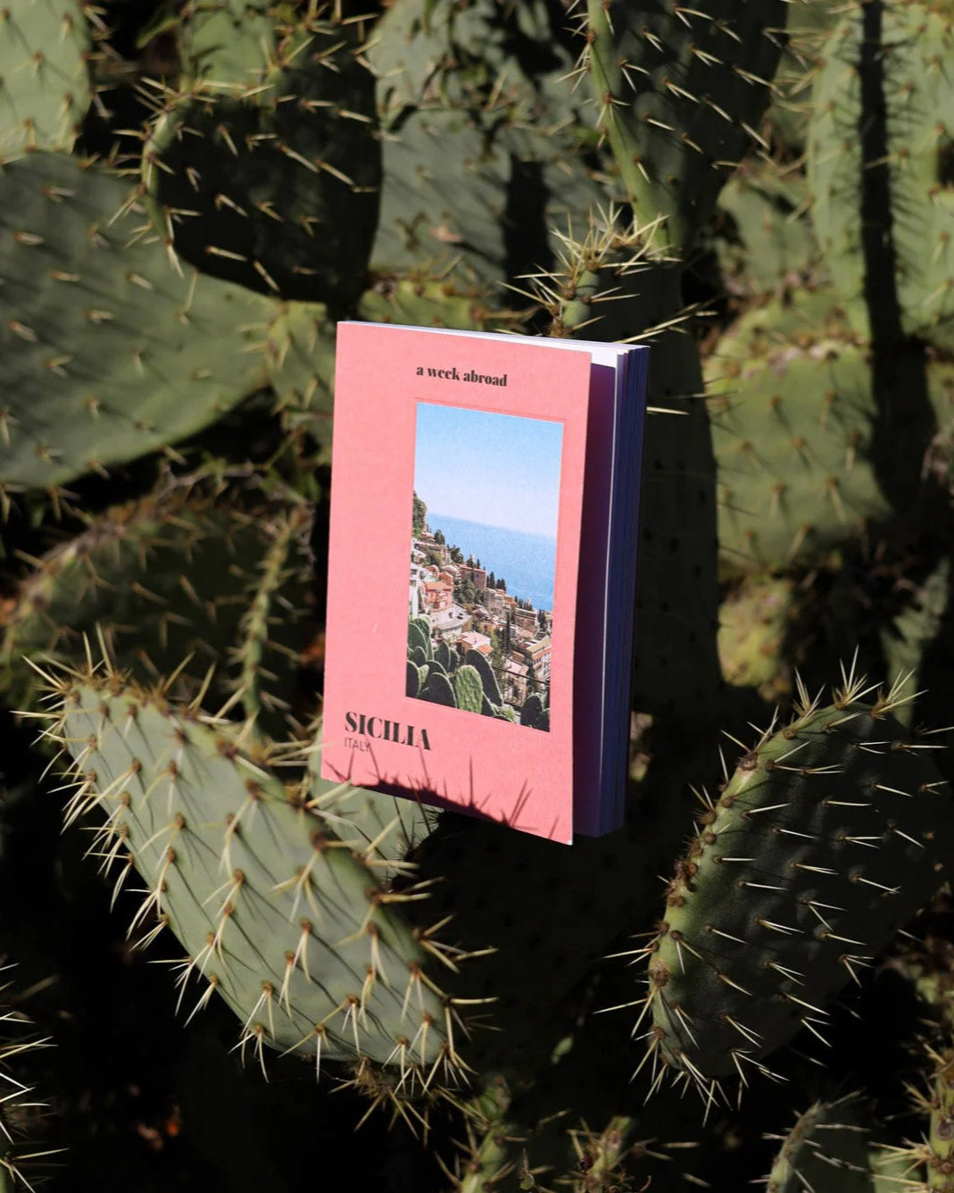 A Week Abroad Sicilia