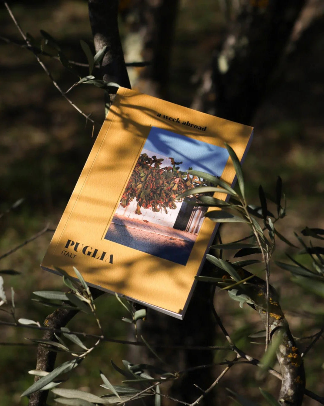 A Week Abroad Puglia