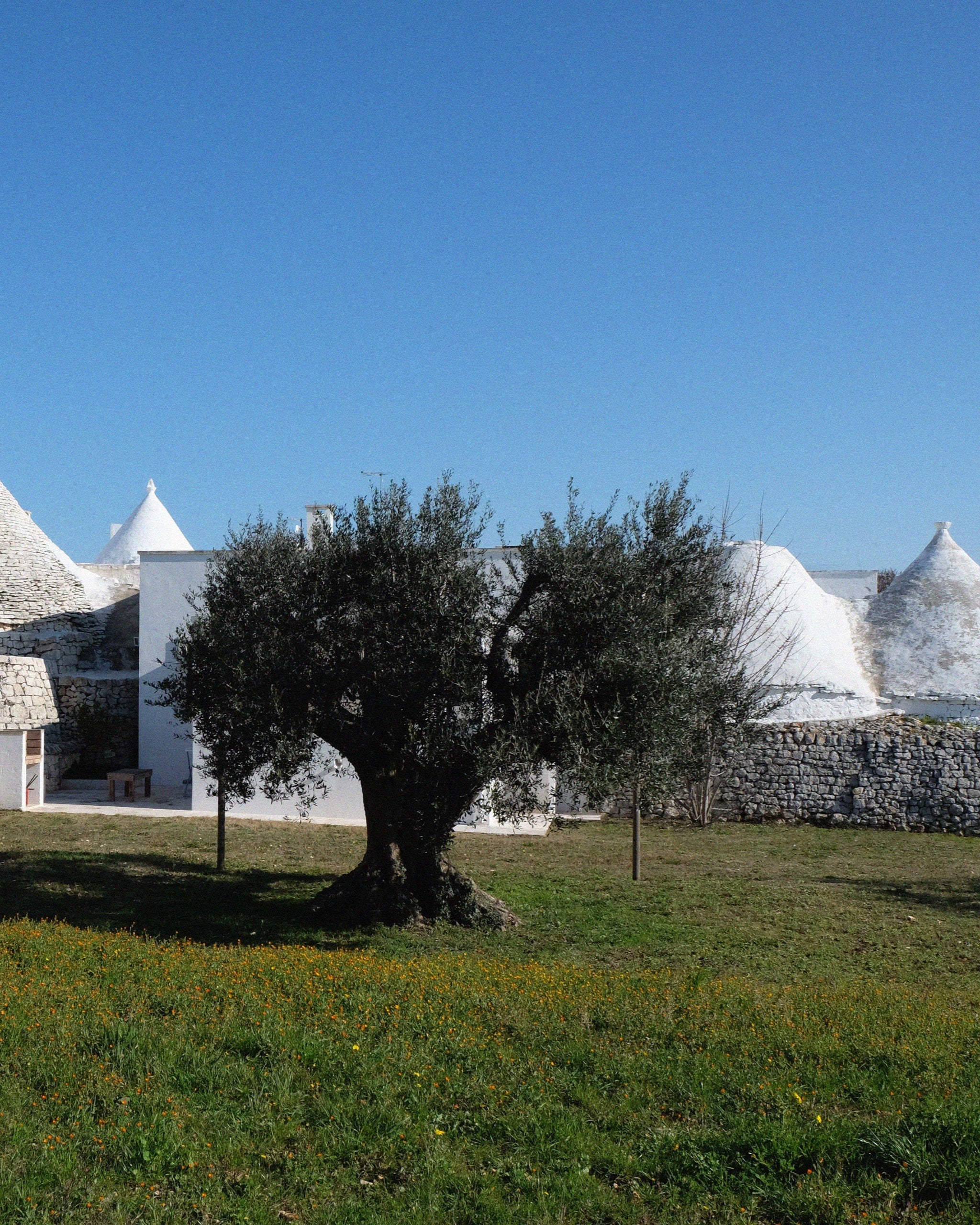 A Week Abroad Puglia